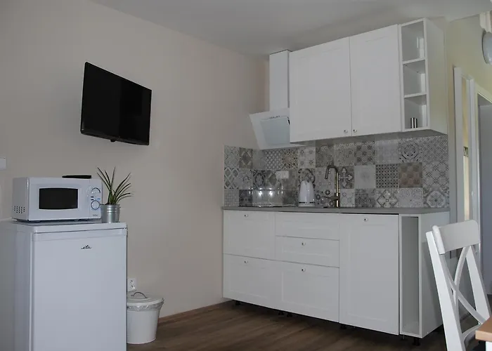 Apartment Ptaci Dum
